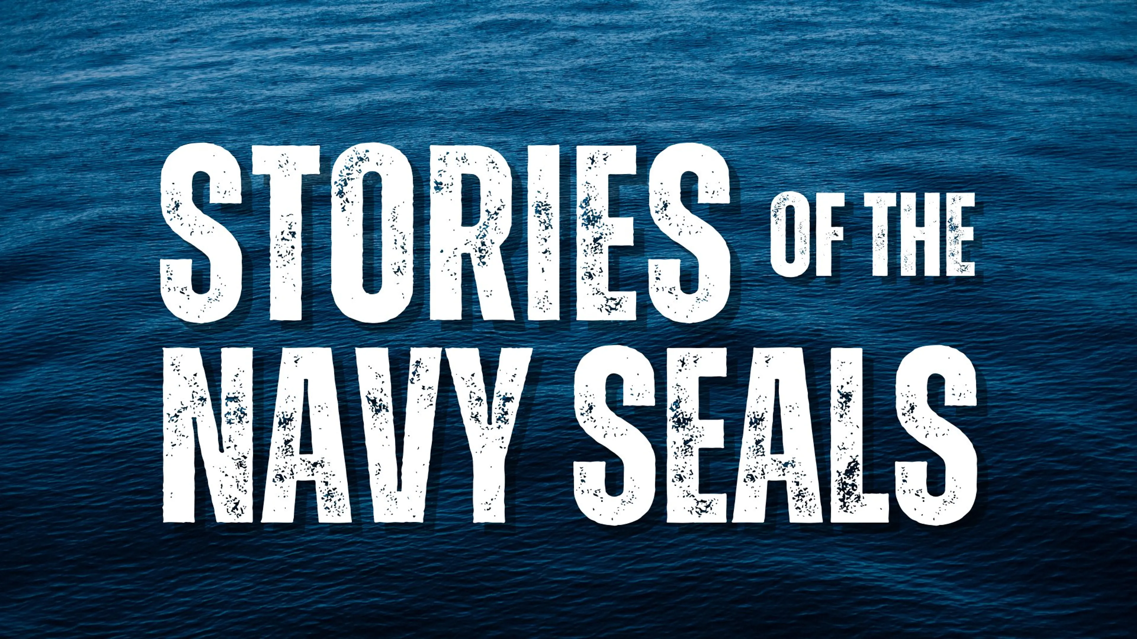 Stories of the Navy SEALs poster